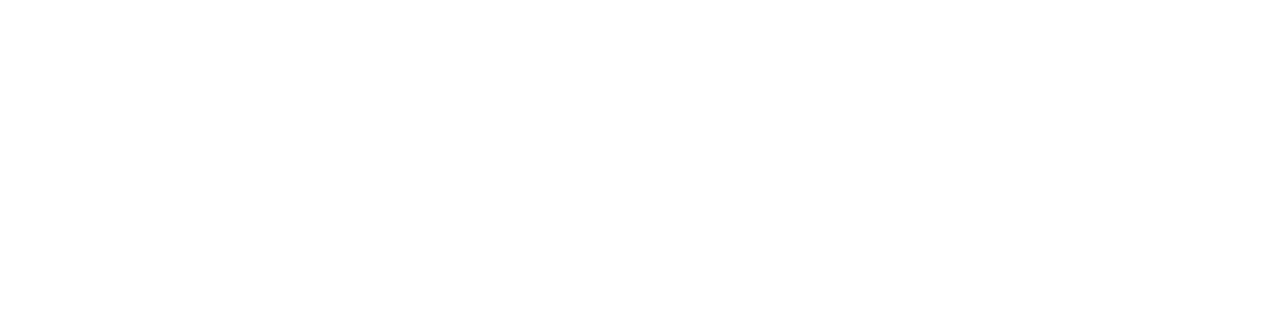 02-NetSafe.png