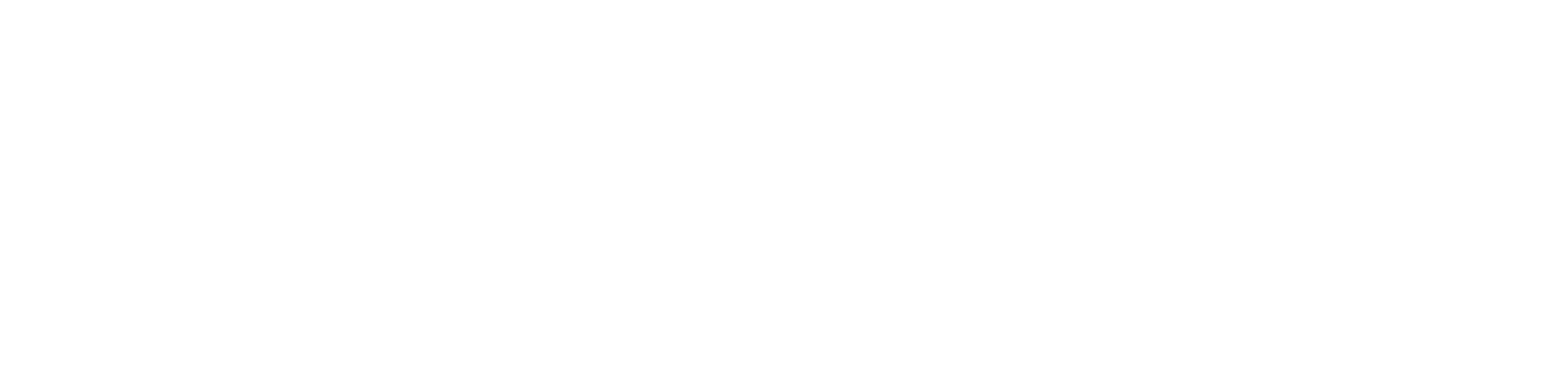 03-NetSafe.png