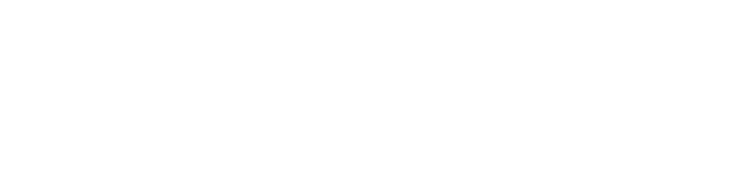 05-NetSafe.png
