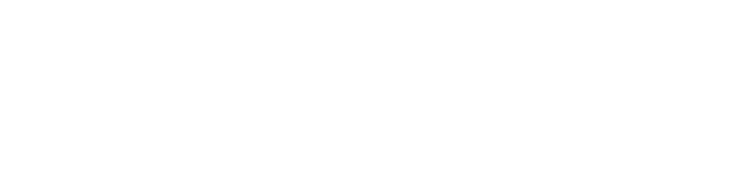 06-NetSafe.png