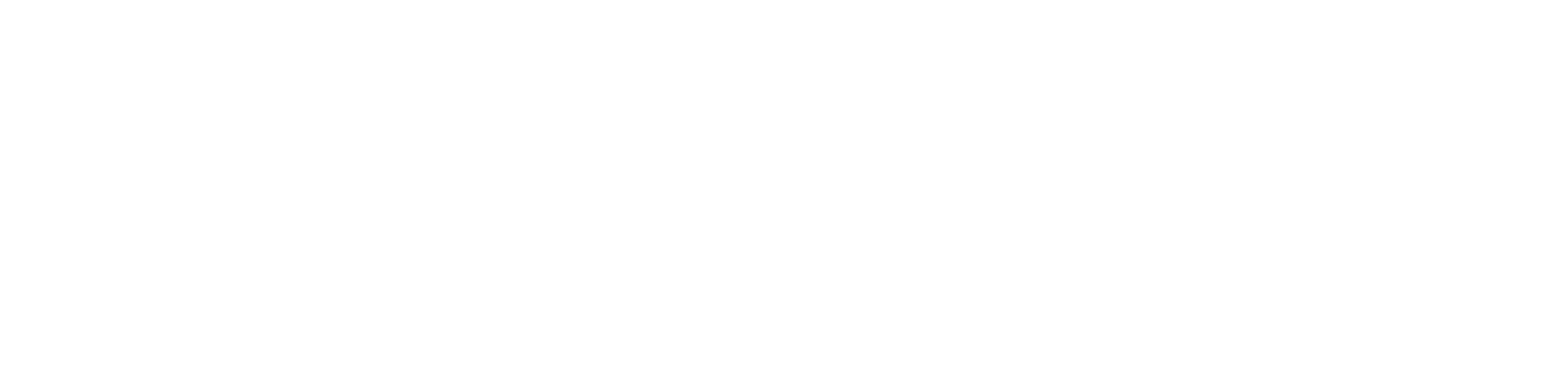 07-NetSafe.png