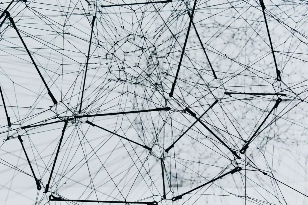 Web of connected lines and nodes