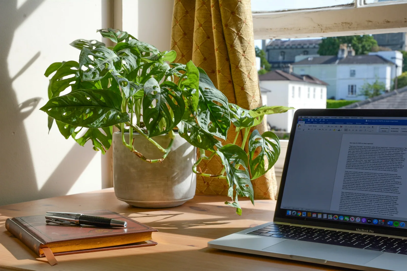 Laptop beside a green plant and notebooks by a window
